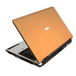 Toshiba P100 Copper