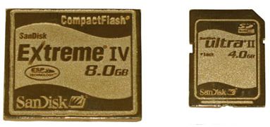 Gold SanDisk Card