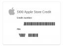 iPhone Store Credit $100